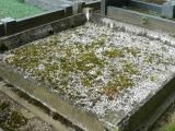 image of grave number 206483